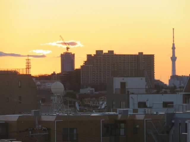 IMG_5312.jpg