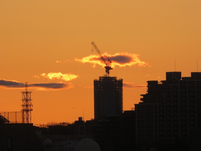 IMG_5314.jpg