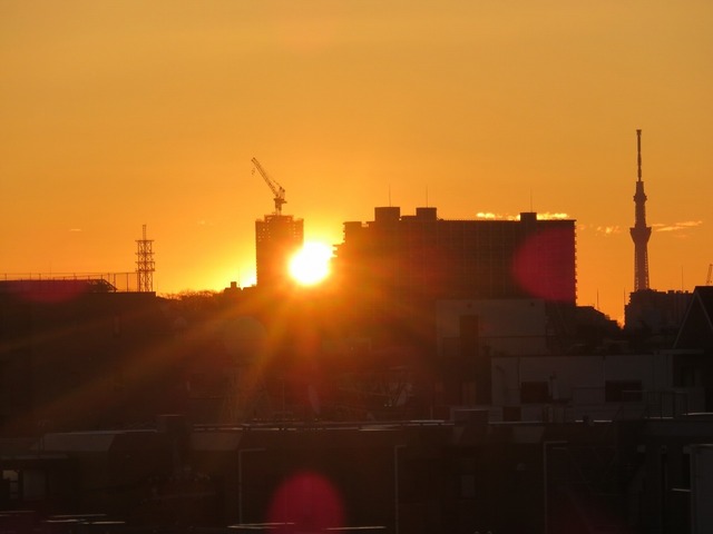 IMG_5319.jpg
