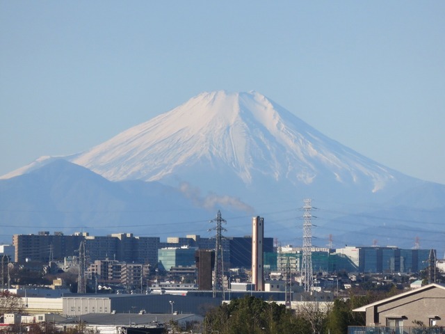 IMG_5354.jpg