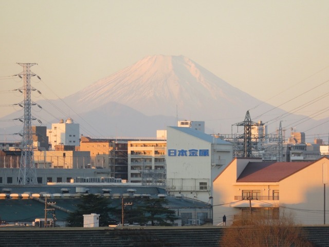 IMG_5562.jpg