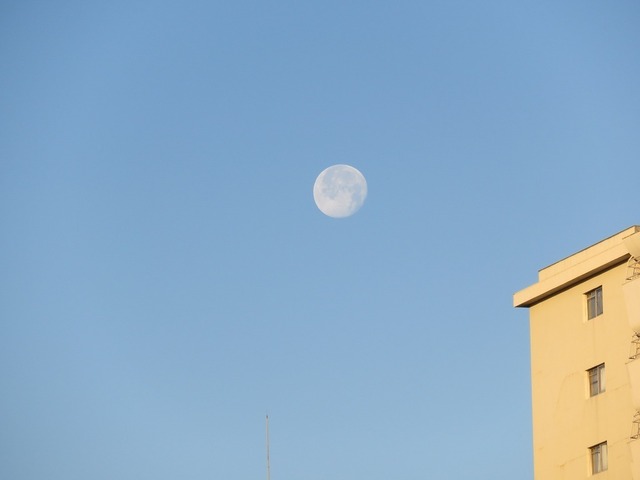 IMG_6636.jpg
