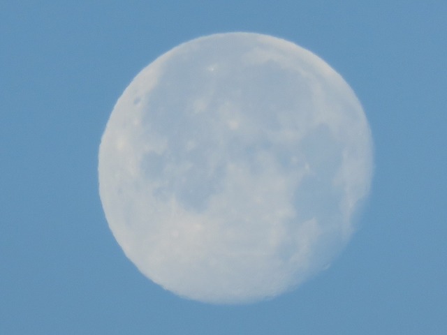 IMG_6646.jpg