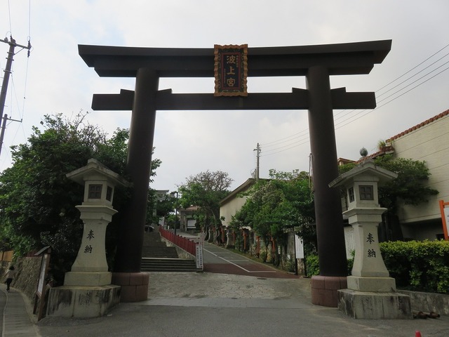 IMG_7624.jpg