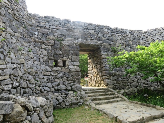 IMG_7724.jpg