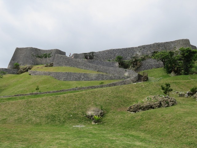 IMG_7785.jpg