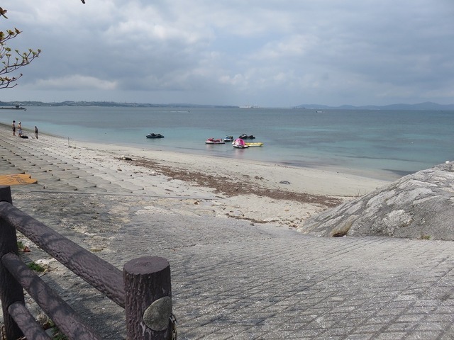IMG_7800.jpg