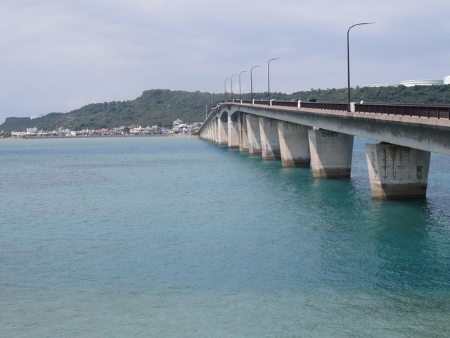 IMG_7810.jpg