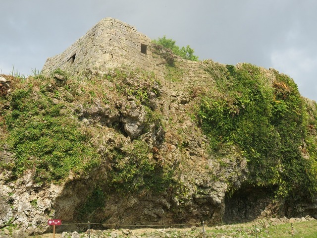 IMG_7834.jpg