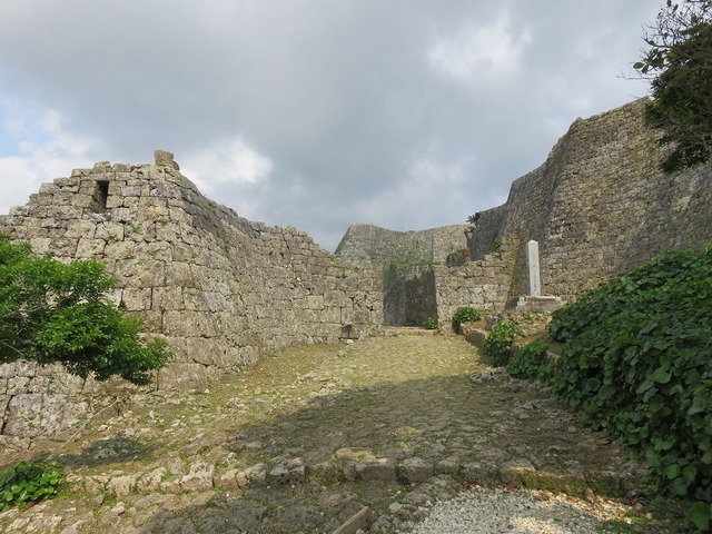 IMG_7836.jpg