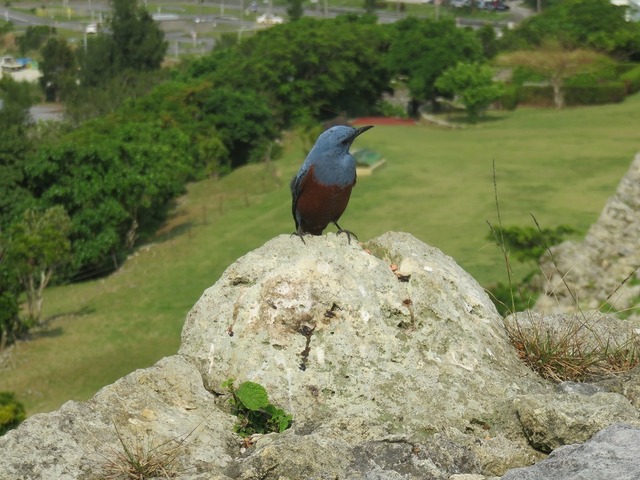 IMG_7861.jpg