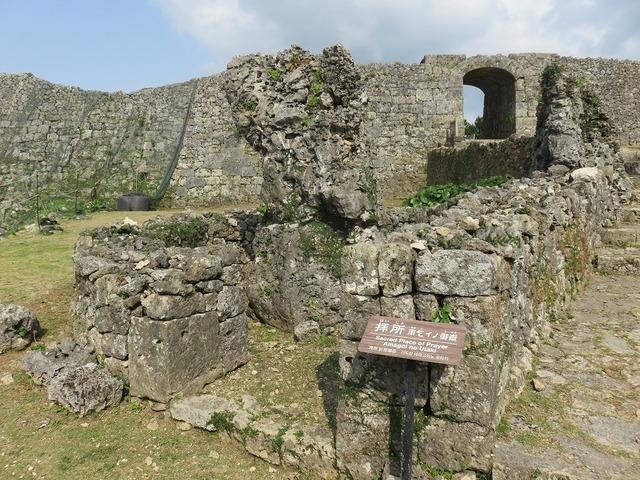 IMG_7875.jpg