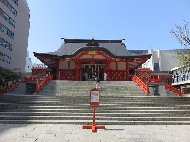 IMG_7994.jpg