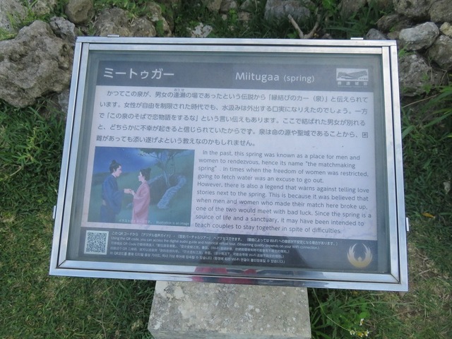 IMG_8688.jpg
