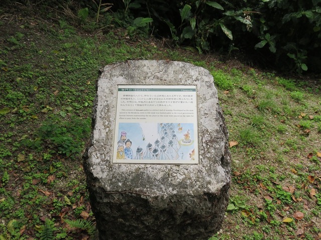IMG_8788.jpg