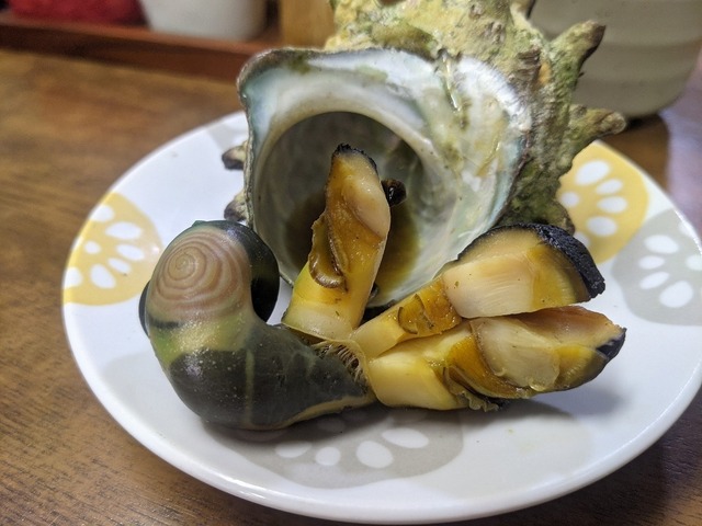 PXL_20210417_044249064.jpg