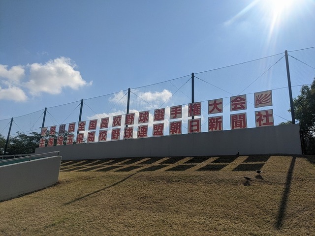 PXL_20210721_231959252.jpg