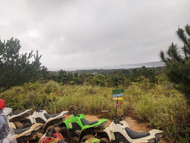 PXL_20220218_011854399.jpg