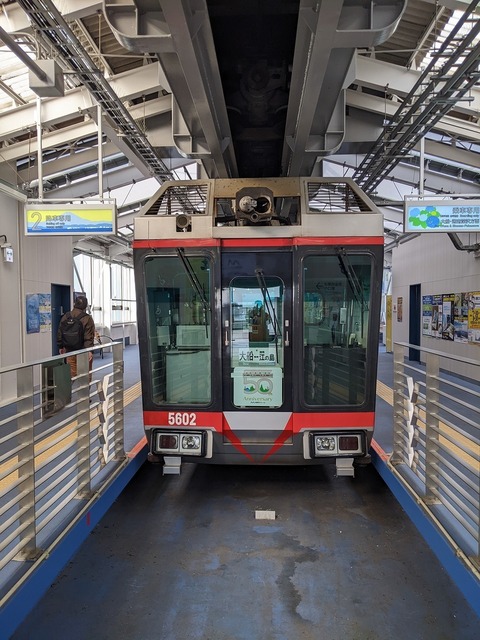 PXL_20220402_071541952.jpg