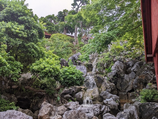 PXL_20220521_020420434.jpg