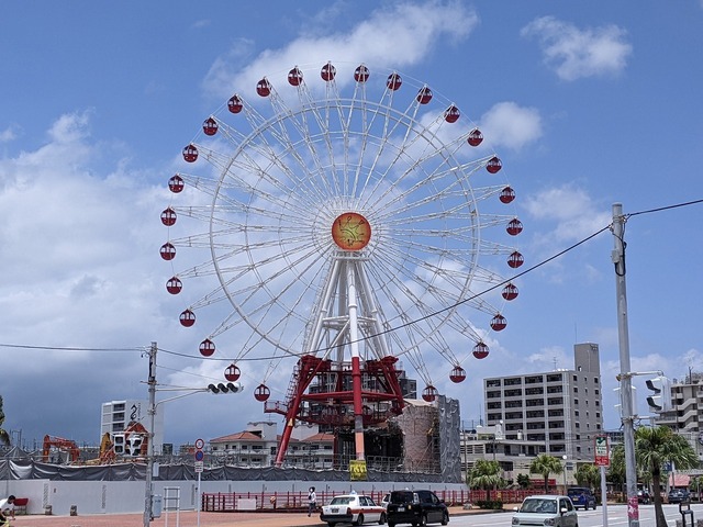 PXL_20220522_034241560.MP.jpg