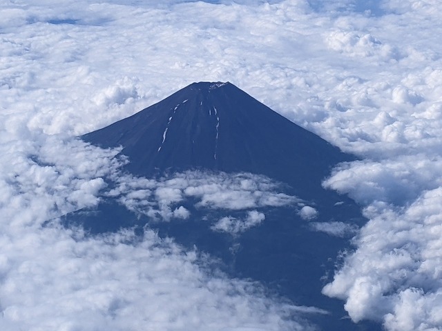 PXL_20220706_223824709.jpg