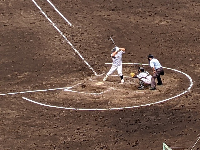 PXL_20220715_014547573.MP.jpg