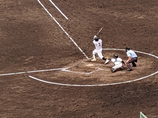 PXL_20220715_014712685.MP.jpg
