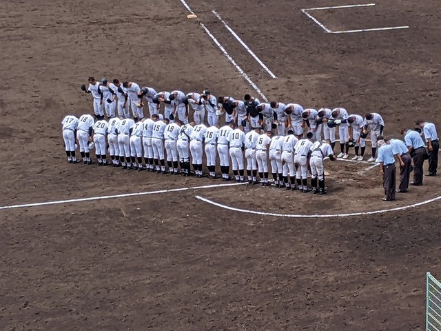 PXL_20220715_025309807.MP.jpg