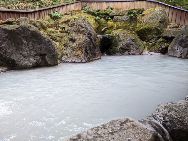 PXL_20221022_045238488.jpg