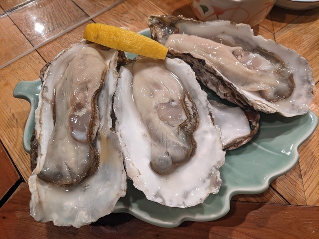 PXL_20221126_113130049.MP.jpg