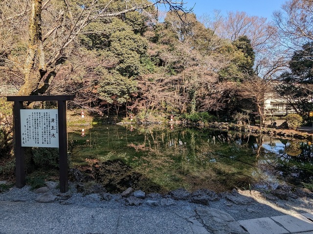 PXL_20230120_031056181.jpg