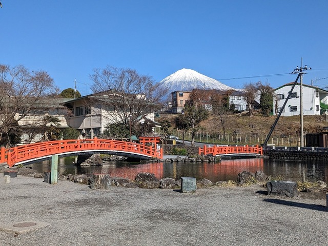 PXL_20230120_032130158.jpg