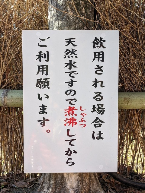 PXL_20230120_032407785.jpg