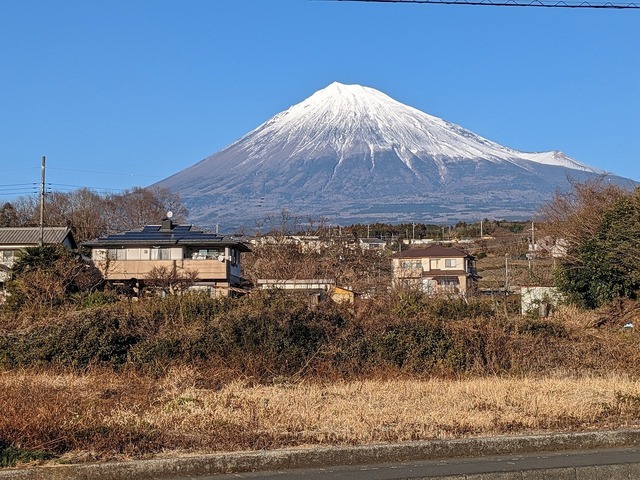 PXL_20230120_063239956.jpg