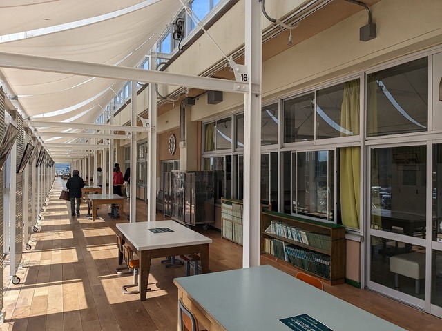 PXL_20230225_013327754.jpg