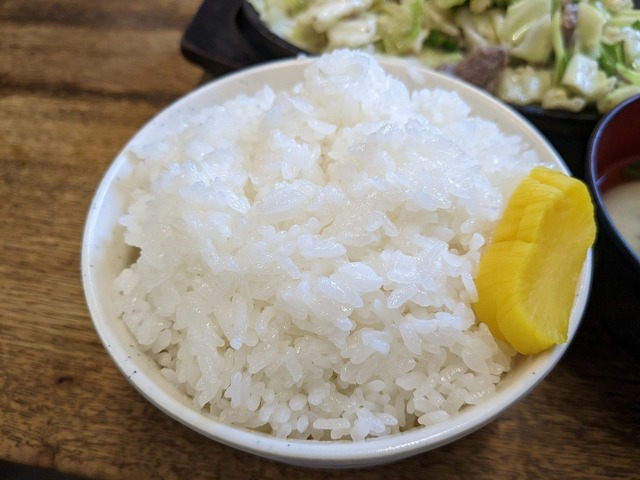 PXL_20230319_042616703.jpg