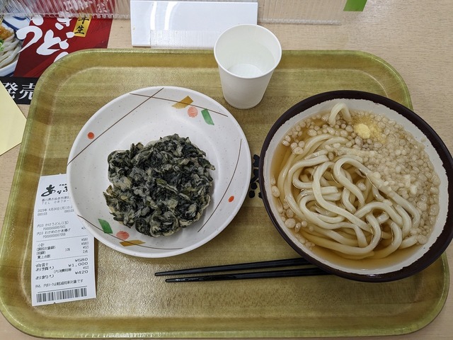 PXL_20230424_012205373.jpg