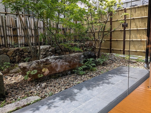 PXL_20230808_035753912.jpg