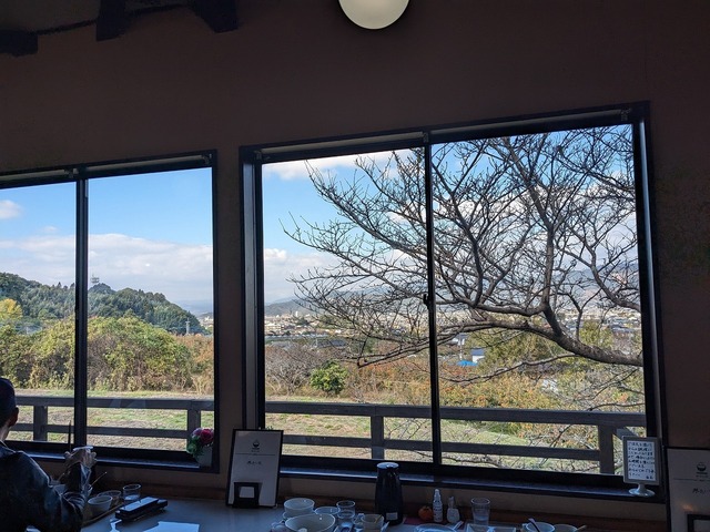 PXL_20231119_032900690.jpg