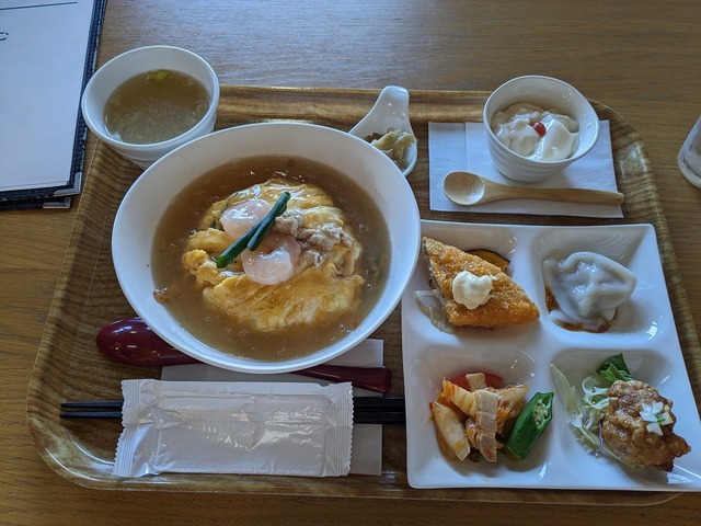 PXL_20231119_033702573.jpg