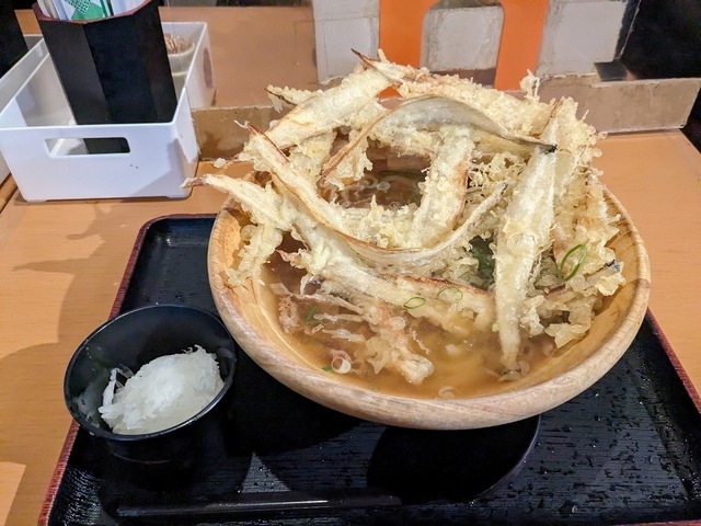 PXL_20240119_022258178.jpg