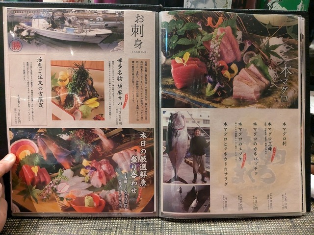 PXL_20240712_094216849.jpg