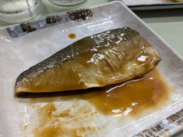 PXL_20240824_061059415.jpg