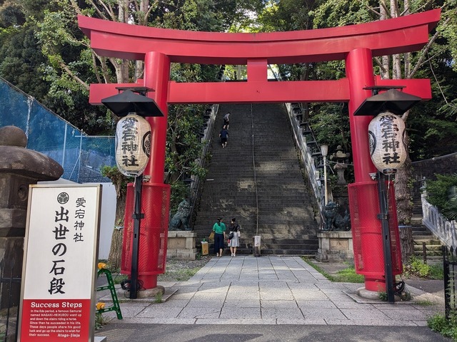 PXL_20240826_060303877.jpg