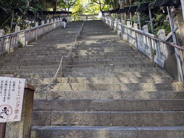 PXL_20240826_061320941.jpg