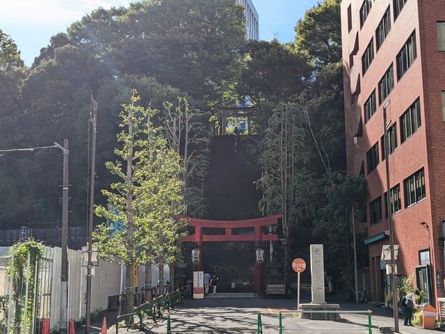PXL_20240826_061618241.jpg