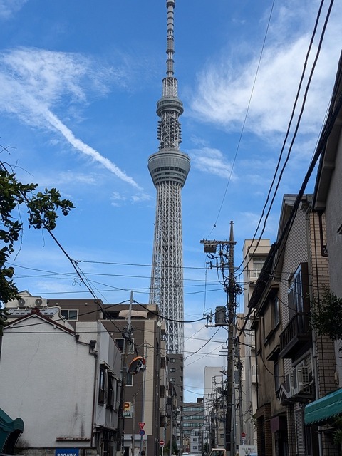 PXL_20240827_062700357.jpg