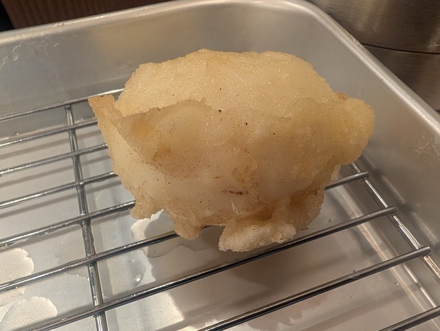 PXL_20250322_105711530.jpg