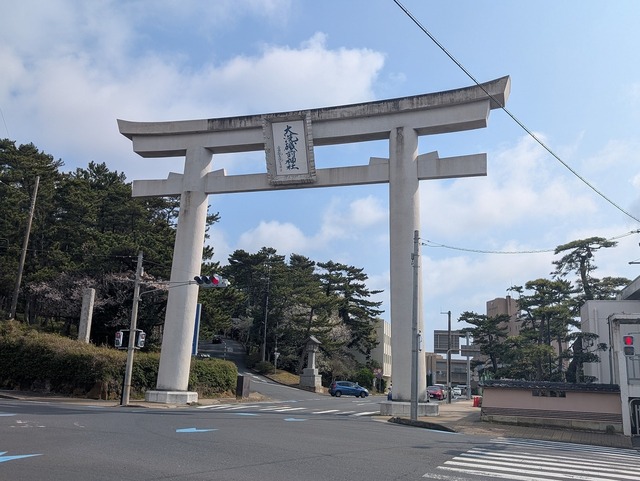 PXL_20250411_233913613.jpg